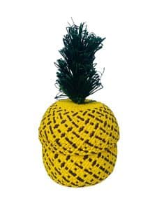Contenedor Piña